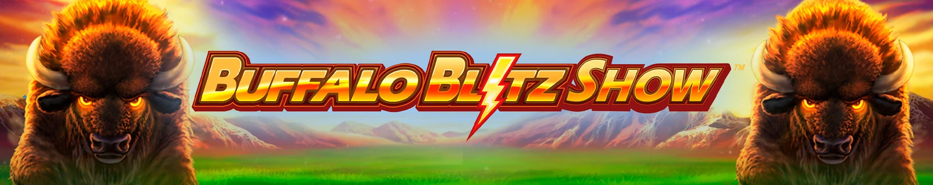 Buffalo Blitz Show