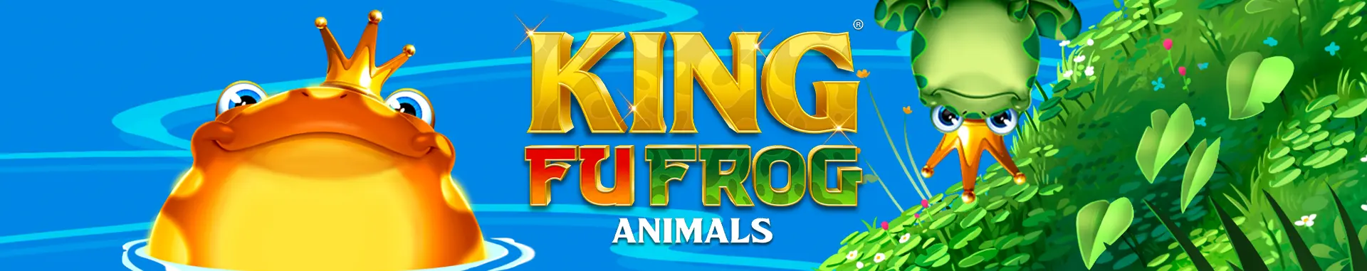 King Fu Frog Animals